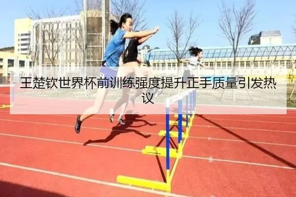 王楚钦世界杯前训练强度提升正手质量引发热议 - leyu